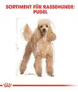 Bild 3 von ROYAL CANIN® Trockenfutter für Hunde Poodle Adult