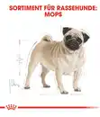 Bild 3 von ROYAL CANIN® Trockenfutter für Hunde Pug Adult