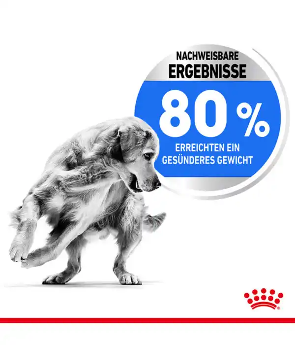 Bild 4 von ROYAL CANIN® Trockenfutter für Hunde Light Weight Care Medium, 3 kg