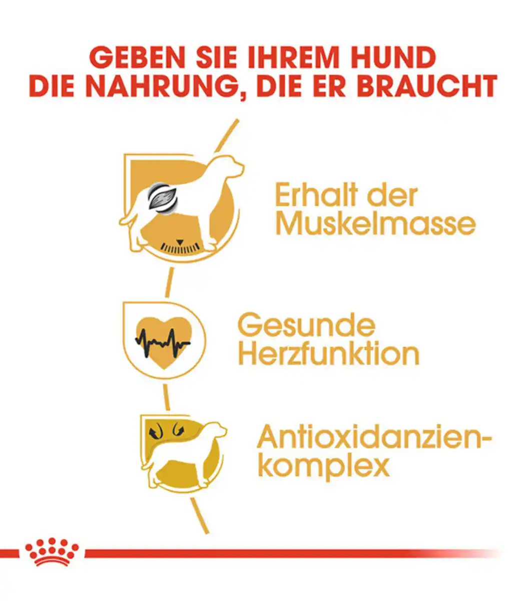 Bild 4 von ROYAL CANIN® Trockenfutter für Hunde Boxer 26 Adult