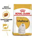 Bild 2 von ROYAL CANIN® Trockenfutter für Hunde Maltese Adult