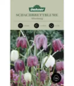 Dehner Blumenzwiebel Schachbrettblume 'Fritillaria meleagris Mischung'