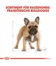 Bild 3 von ROYAL CANIN® Trockenfutter für Hunde French Bulldog Adult, 9 kg