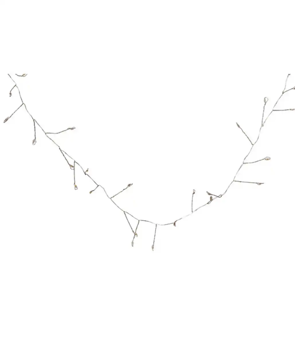 Bild 2 von Dehner LED-Lichterkette, 100 LEDs, warmweiß, ca. L250 cm