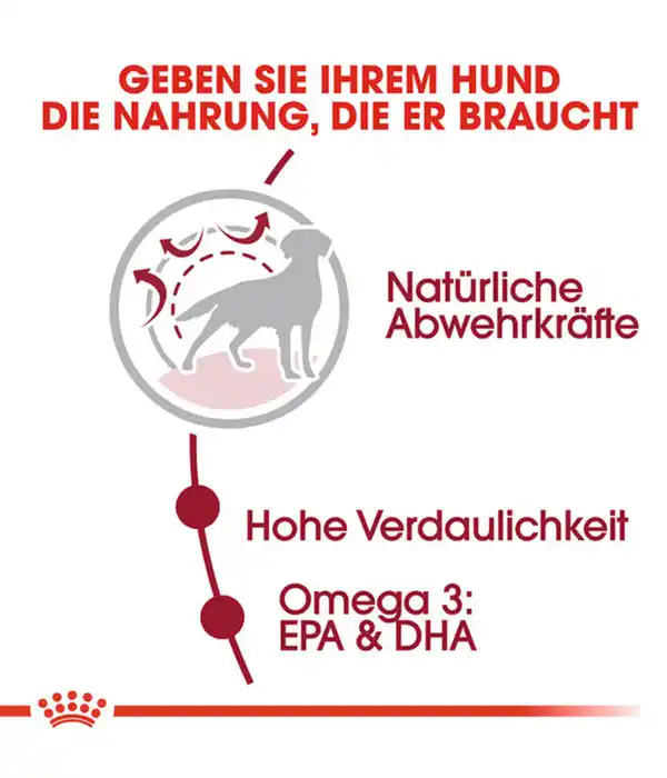 Bild 3 von ROYAL CANIN® Trockenfutter für Hunde Medium Adult