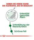 Bild 3 von ROYAL CANIN® Trockenfutter für Hunde Mini Ageing 12+