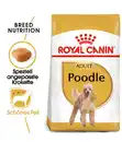 Bild 2 von ROYAL CANIN® Trockenfutter für Hunde Poodle Adult