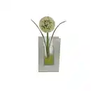 Bild 1 von POCOline Vase klar Glas B/H/L: ca. 5,5x20x12 cm