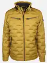 Bild 1 von Herren Steppjacke Gelb