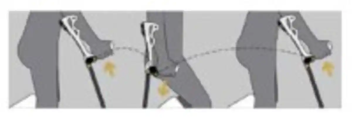 Bild 3 von Antar Unterarmgehstütze Ergodynamic in verschiedenen Größen