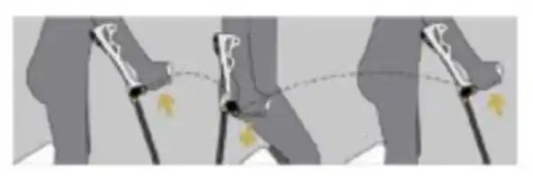 Bild 3 von Antar Unterarmgehstütze Ergodynamic in verschiedenen Größen