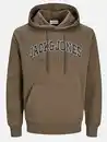 Bild 1 von Jack&Jones JJECALEB VARSITY SWEA Hoodie Braun