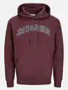 Bild 1 von Jack&Jones JJECALEB VARSITY SWEA Hoodie Rot