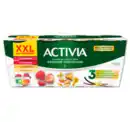 Bild 1 von DANONE Activia XXL*