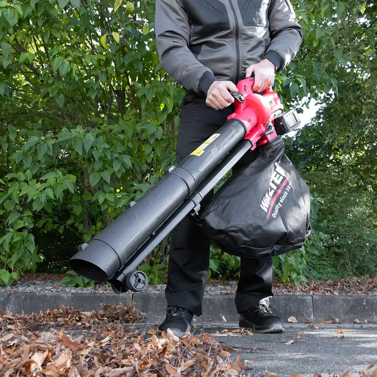 Bild 1 von Akku-Laubsauger/ -bläser 40V