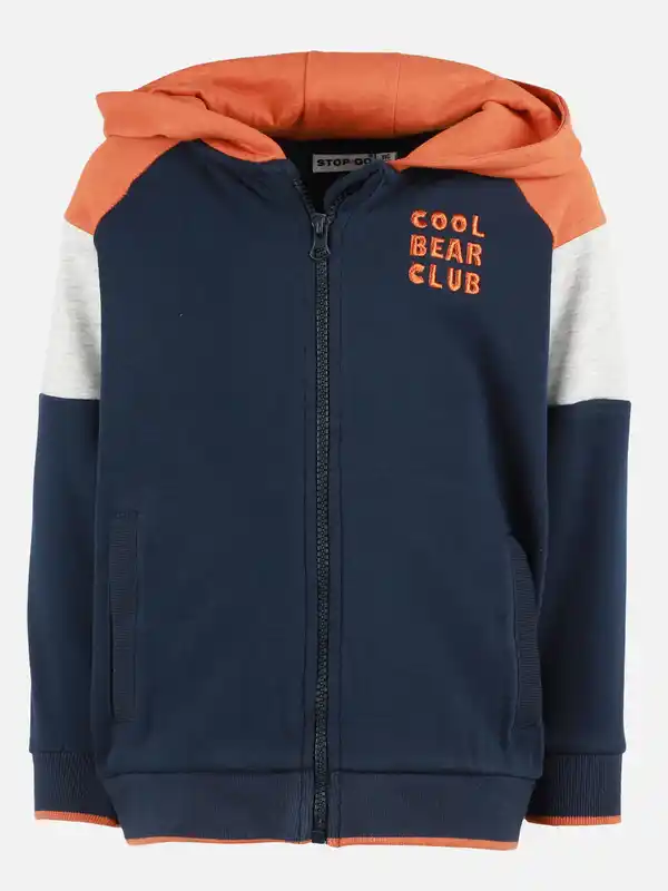 Bild 1 von Jungen Sweatjacke mit Stickerei Blau