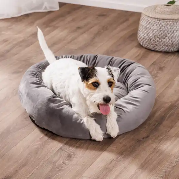 Bild 3 von Haustierbett "Juwel"