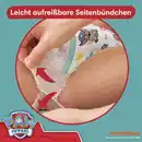 Bild 4 von Pampers Baby Dry Nappy Pants Gr.6 (14-19kg) Monatsbox Paw Patrol