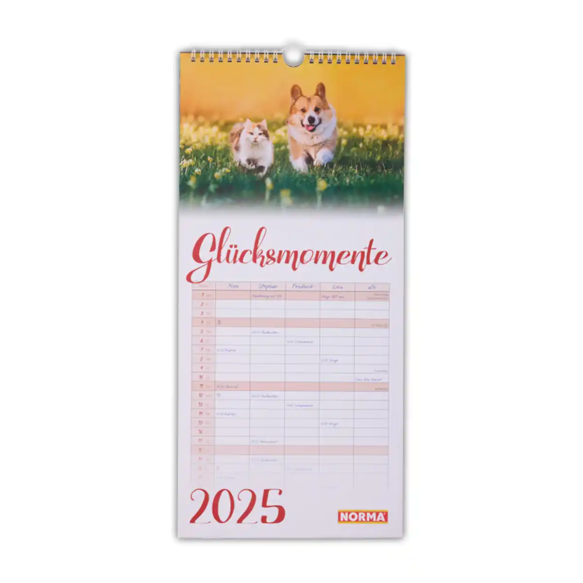 Bild 4 von Familienplaner