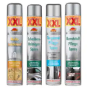 Carfit Professional XXL-Kfz-Profi Spray