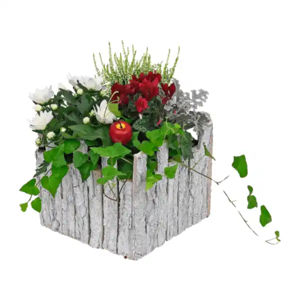 Bild 3 von GARDENLINE Bepflanztes Holzgefäß