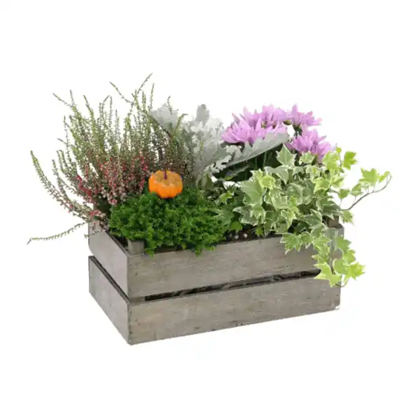 Bild 2 von GARDENLINE Bepflanztes Holzgefäß