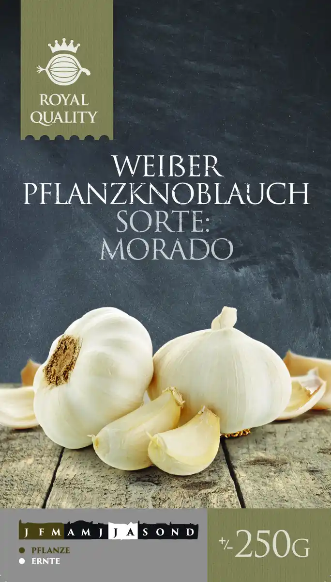 Bild 3 von Pflanzknoblauch 250 g