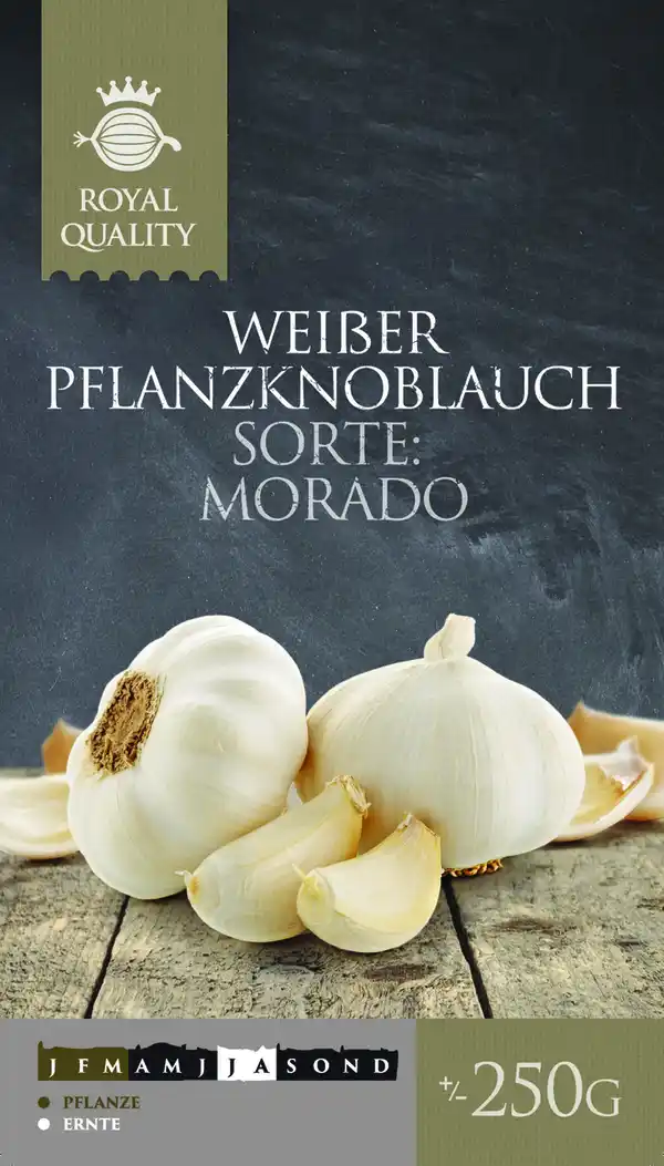 Bild 3 von Pflanzknoblauch 250 g