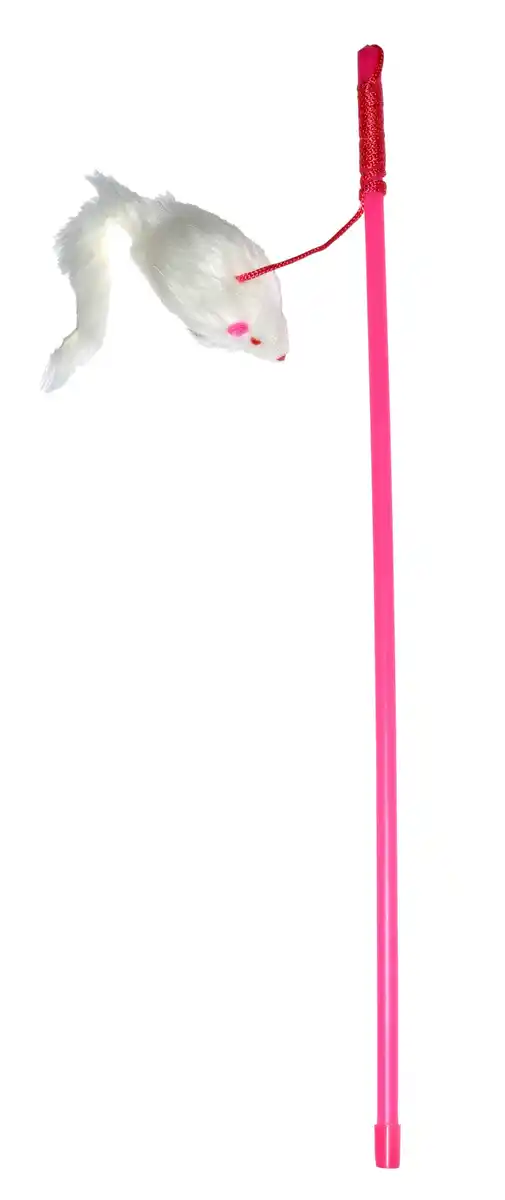 Bild 2 von Spielangel