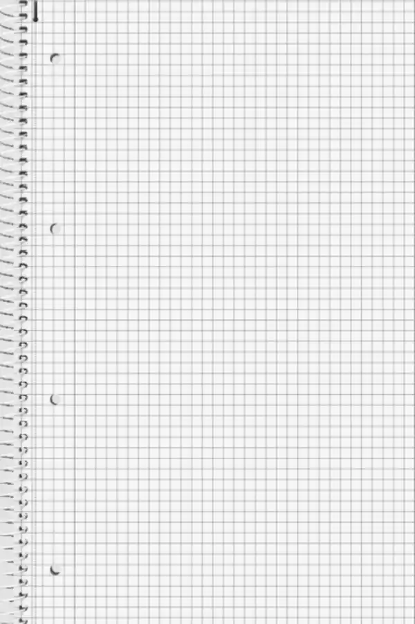 Bild 2 von BRUNNEN Collegeblock A4 onyx, kariert