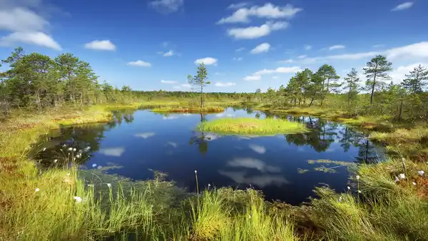 Bild 1 von Baltikum - Lettland, Litauen & Estland - Grosse Bus-Rundreise 10-tägig