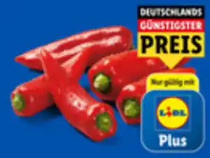 Rote Spitzpaprika,  500 g