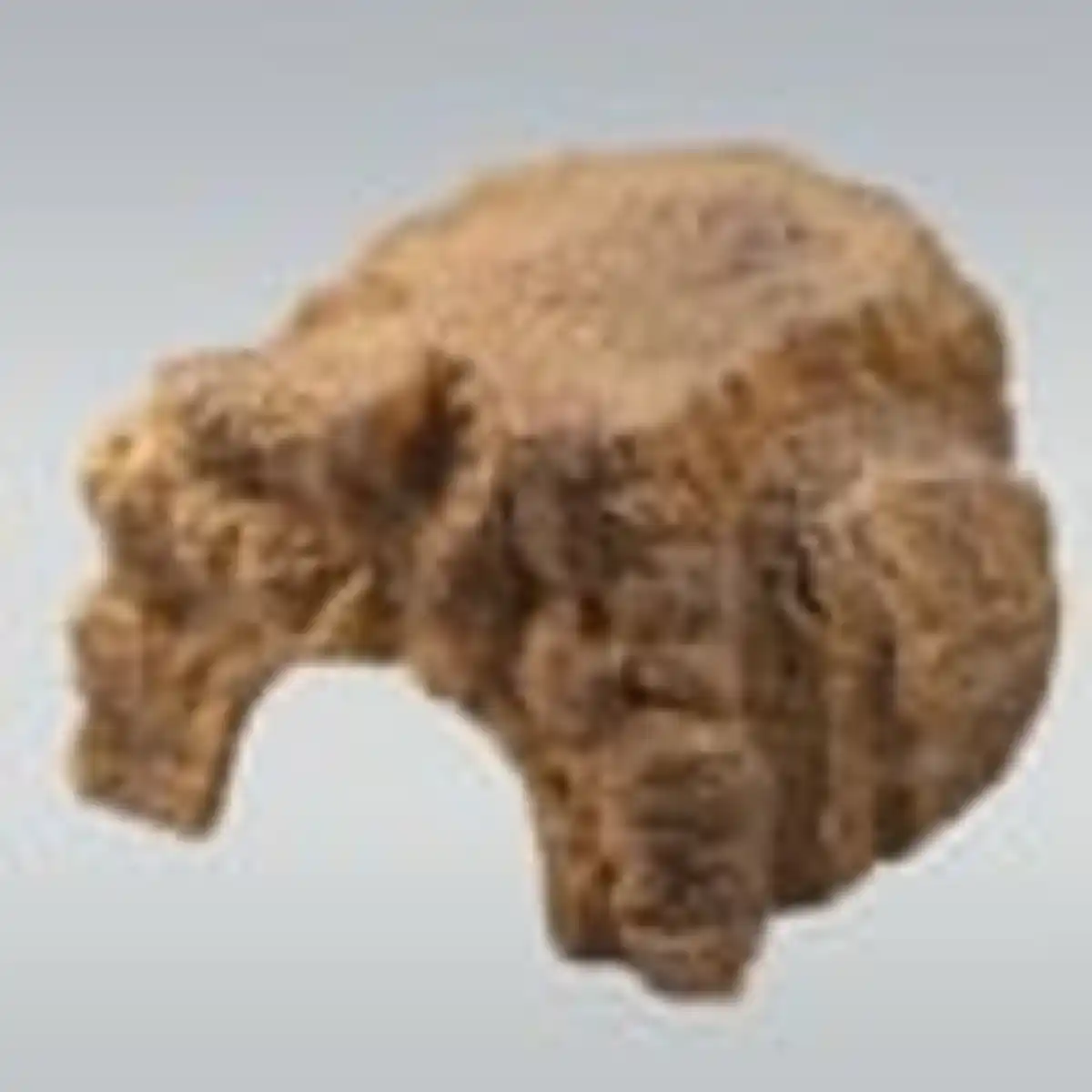 Bild 4 von JBL Höhle für Terrarien ReptilCava sand XL