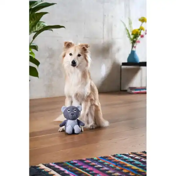Bild 3 von ZooRoyal Hundespielzeug Bär anthrazit & grau