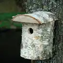 Bild 2 von dobar naturbelassener Nistkasten aus Birkenholz