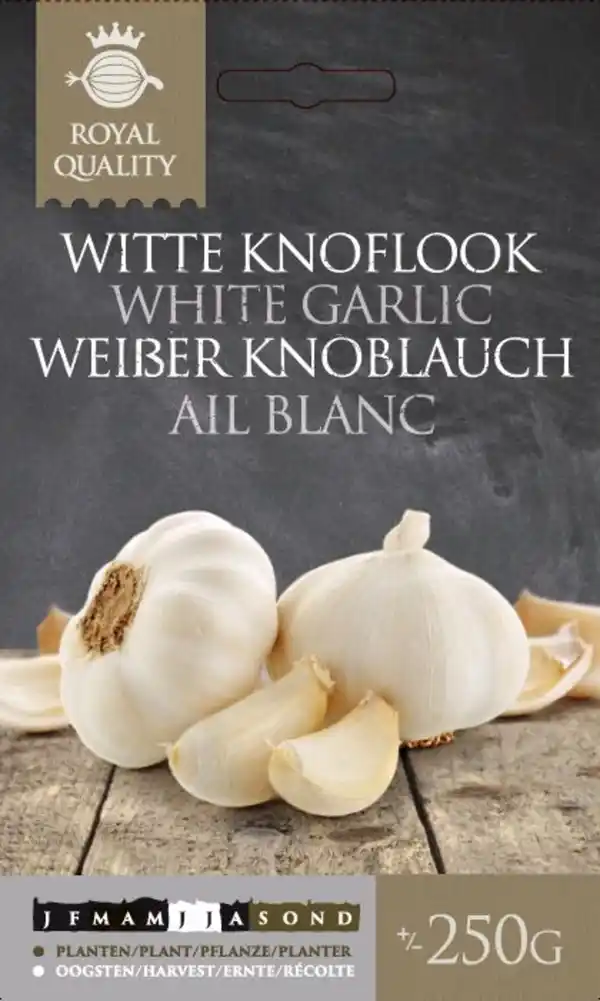 Bild 1 von Pflanzknoblauch 250 g