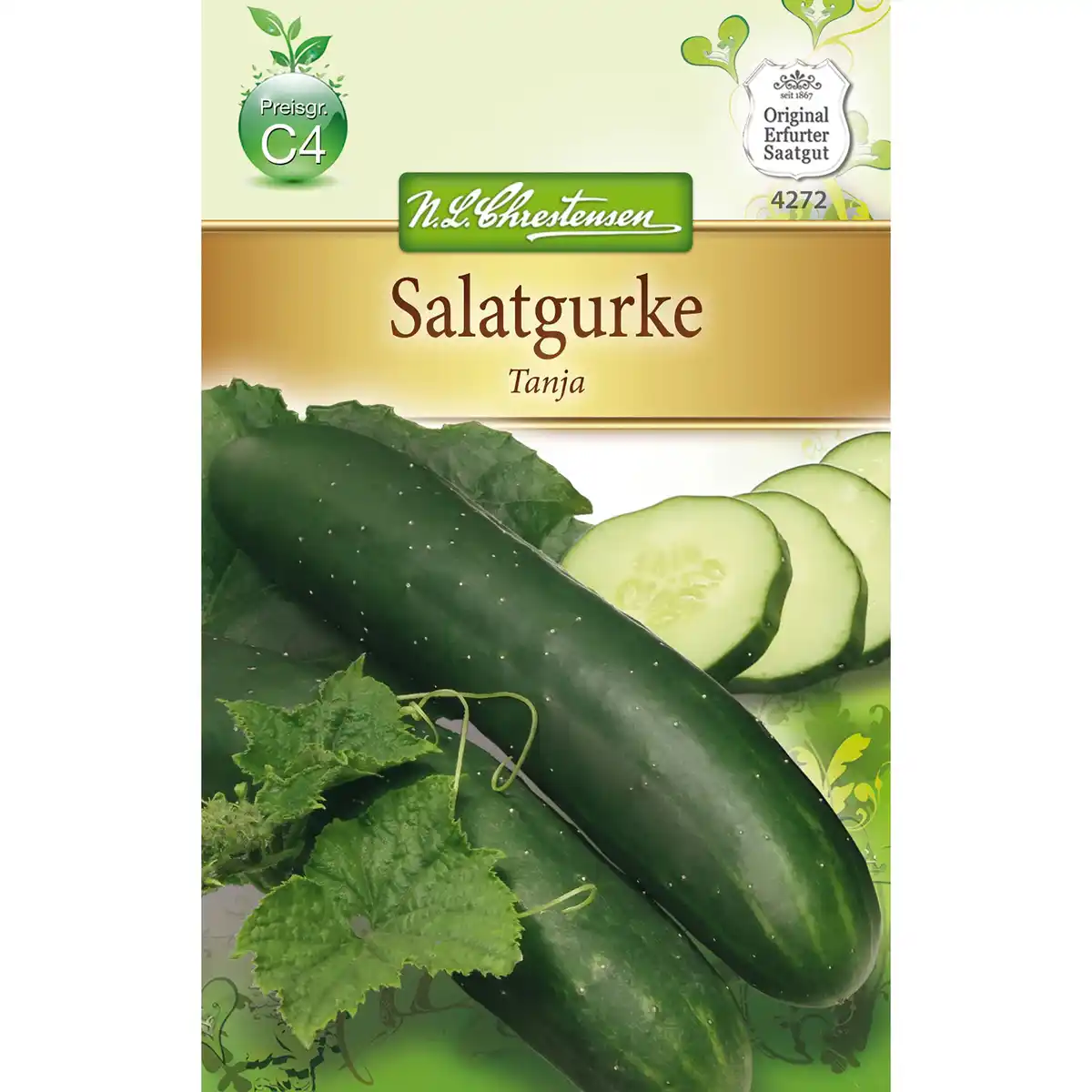 Bild 1 von Salatgurken Tanja