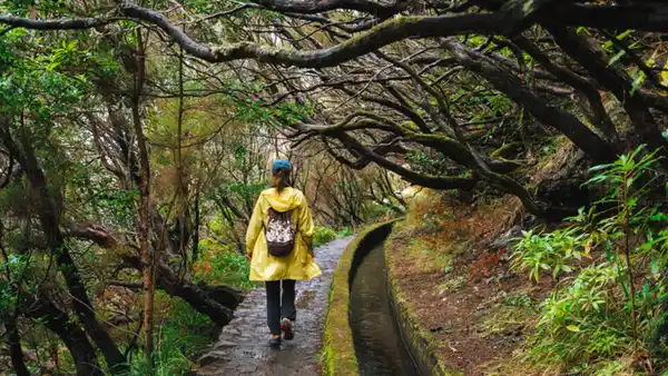 Bild 1 von Rundreisen Portugal - Madeira: Wanderreise von Porto da Cruz bis Calheta