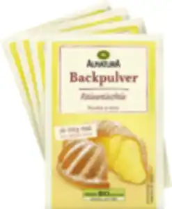 Alnatura Bio Reinweinstein Backpulver 4er Pack, 72 g