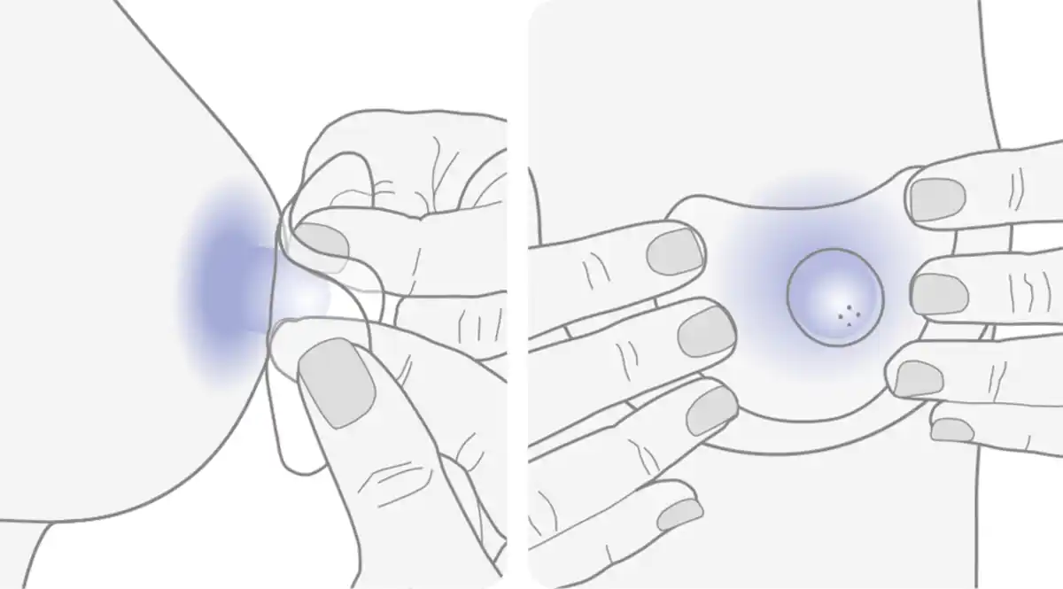 Bild 2 von Lansinoh Stillhütchen 20 mm