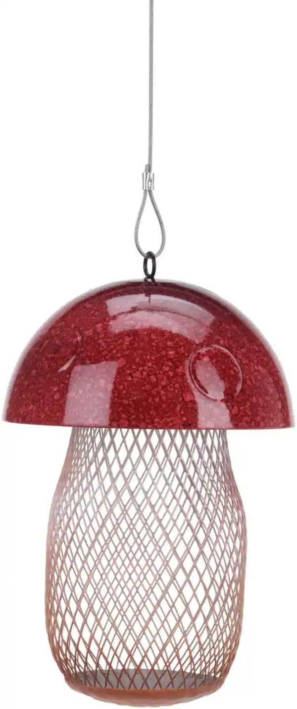 Bild 4 von Vogelfutterhaus