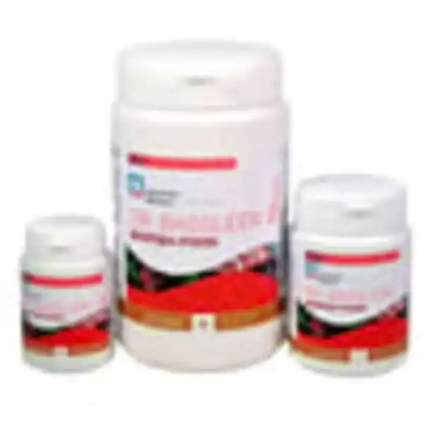 Bild 3 von Aquarium Münster DR. BASSLEER BIOFISH FOOD MATRINE L 60g