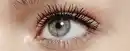 Bild 3 von L’Oréal Paris Mascara False Lash, 8,9 ml