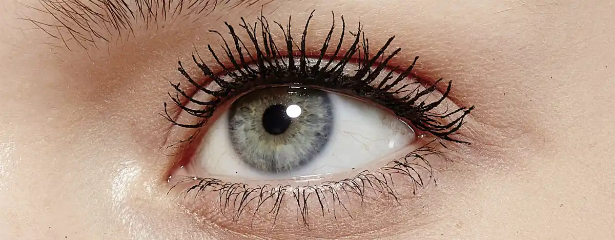 Bild 3 von L’Oréal Paris Mascara False Lash, 8,9 ml