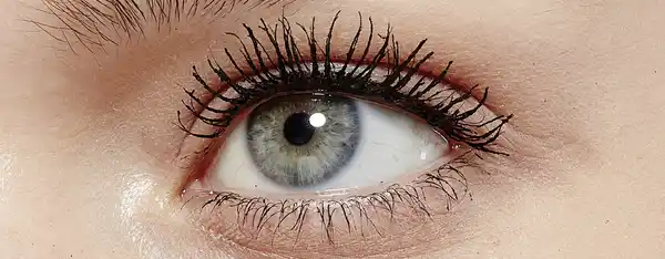 Bild 3 von L’Oréal Paris Mascara False Lash, 8,9 ml