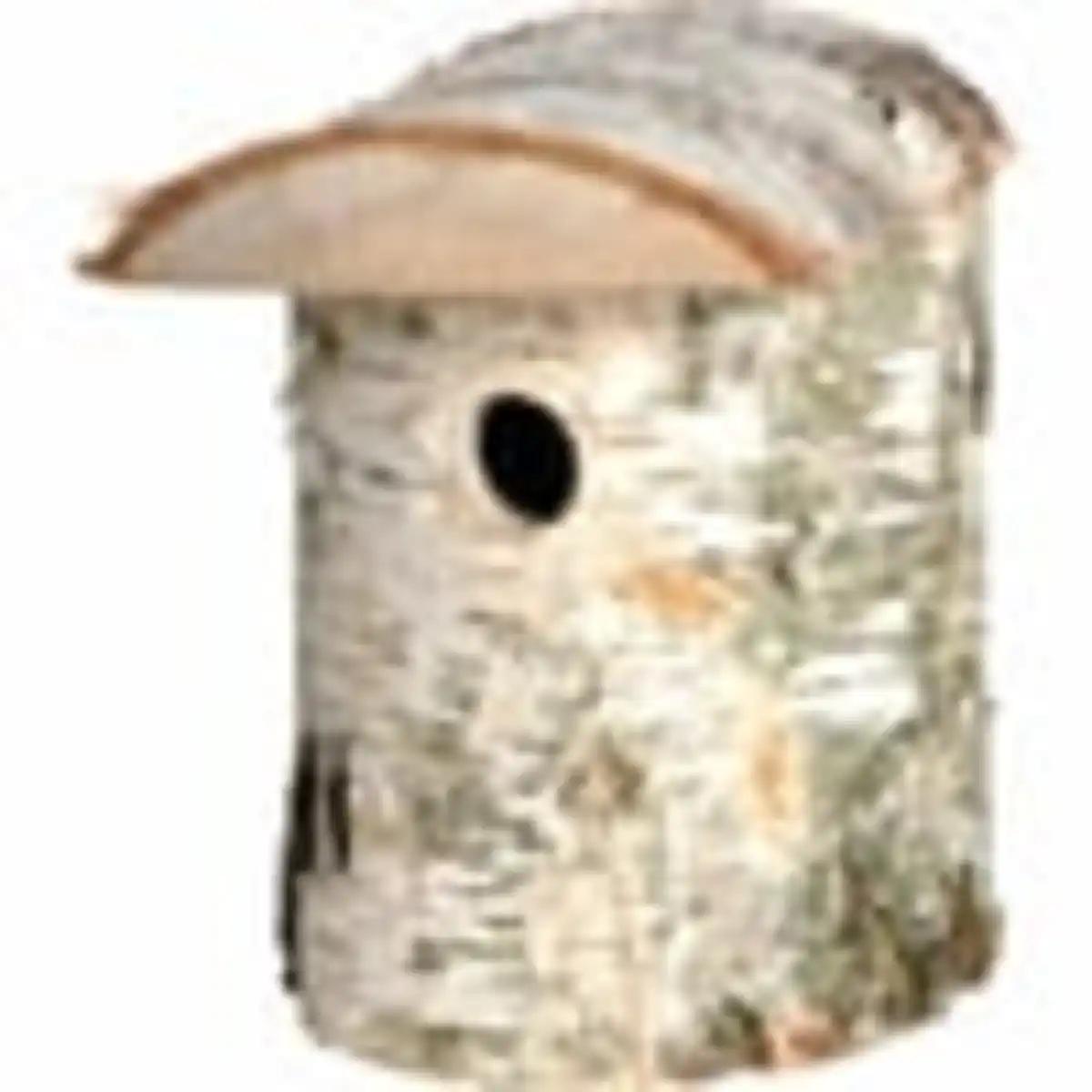 Bild 4 von dobar naturbelassener Nistkasten aus Birkenholz