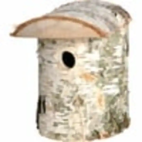 Bild 4 von dobar naturbelassener Nistkasten aus Birkenholz