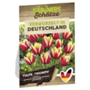 GARDENLINE Blumenzwiebeln Mix