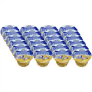 Mertinger Vanillepudding 1,3%, 24er Pack