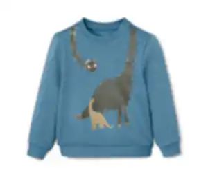 Kinder-Sweater mit Dino-Applikation